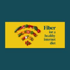 Fiber-Healthy-Internet-Diet_FB-Cover_Single