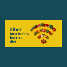 Fiber-Healthy-Internet-Diet_LP-Hero_1920x900_Single
