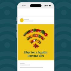 Fiber-Healthy-Internet-Diet_Social_1080x1080-Square_Contextual
