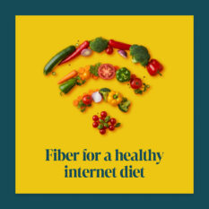 Fiber-Healthy-Internet-Diet_Social_1080x1080-Square_Single