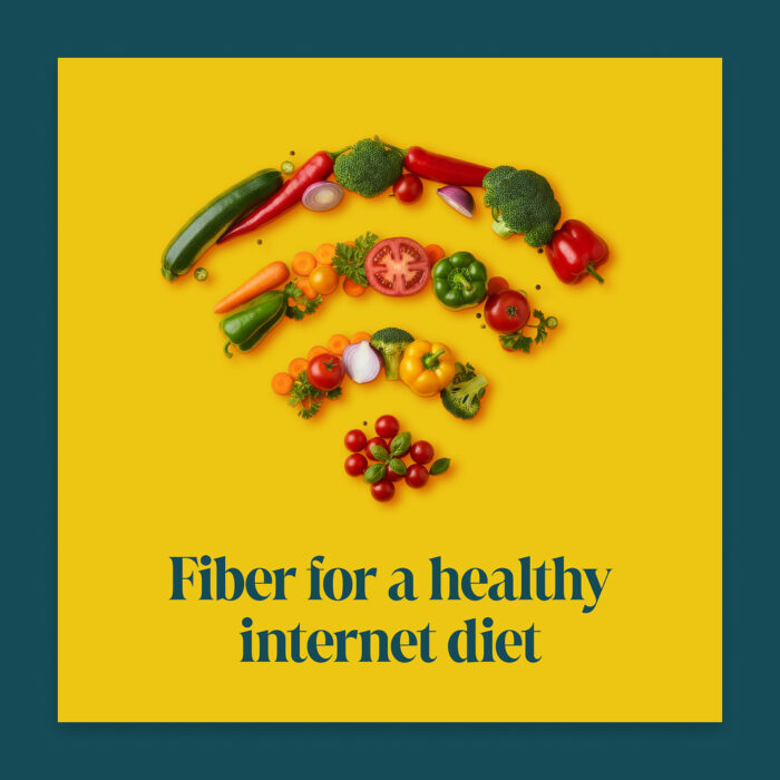 Fiber-Healthy-Internet-Diet_Social_1080x1080-Square_Single Fiber-Healthy-Internet-Diet_Social_1080x1080-Square_Single