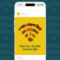 Fiber-Healthy-Internet-Diet_Social_1080x1350-Portrait_Contextual