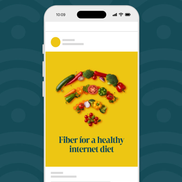 Fiber-Healthy-Internet-Diet_Social_1080x1350-Portrait_Contextual
