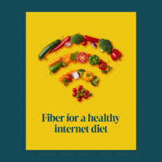 Fiber-Healthy-Internet-Diet_Social_1080x1350-Portrait_Single