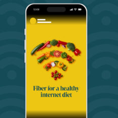 Fiber-Healthy-Internet-Diet_Social_1080x1920-Vertical_Contextual