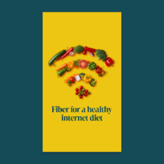 Fiber-Healthy-Internet-Diet_Social_1080x1920-Vertical_Single