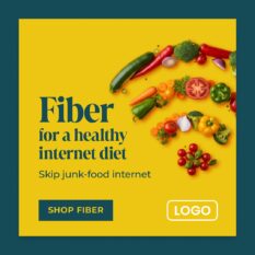 Fiber-Healthy-Internet-Diet_Web-Ad_500by500_Single