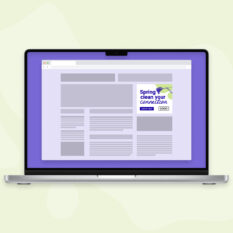 Spring-Clean_Web-Ad_300by250_Contextual