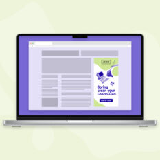 Spring-Clean_Web-Ad_300by600_Contextual